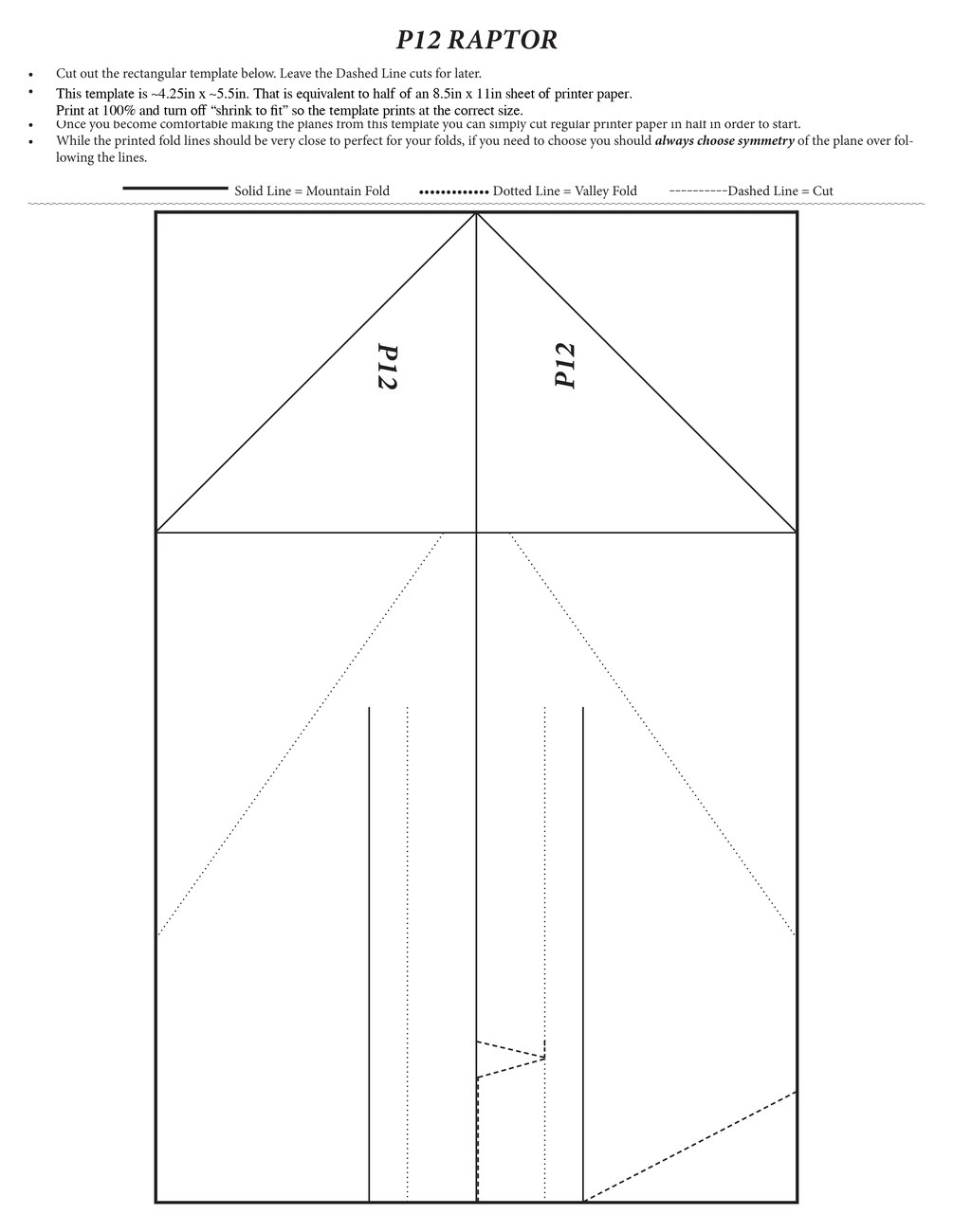 P12 Raptor construction template