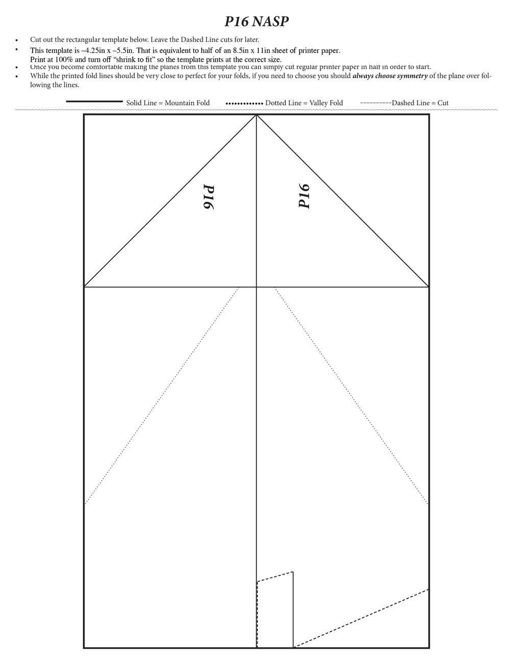 P16 NASP construction template